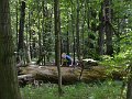 04 tratě 2